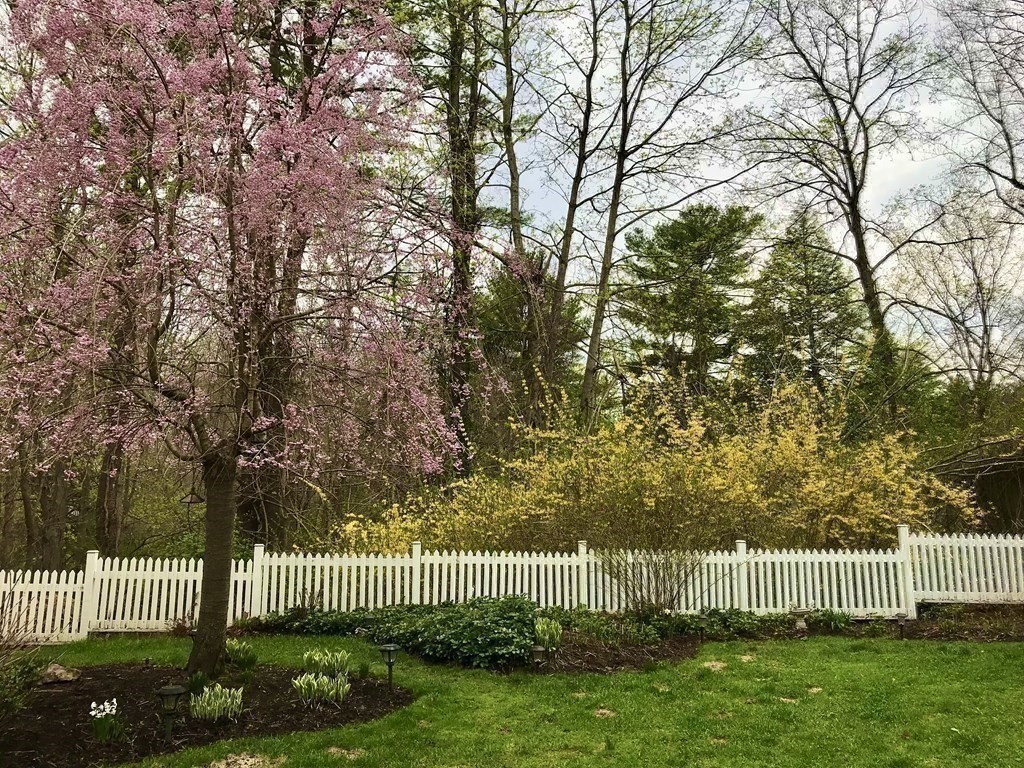 7 McGregory Road Sturbridge, MA 01566 - Photo 39 of 40 a view of a bench in the garden