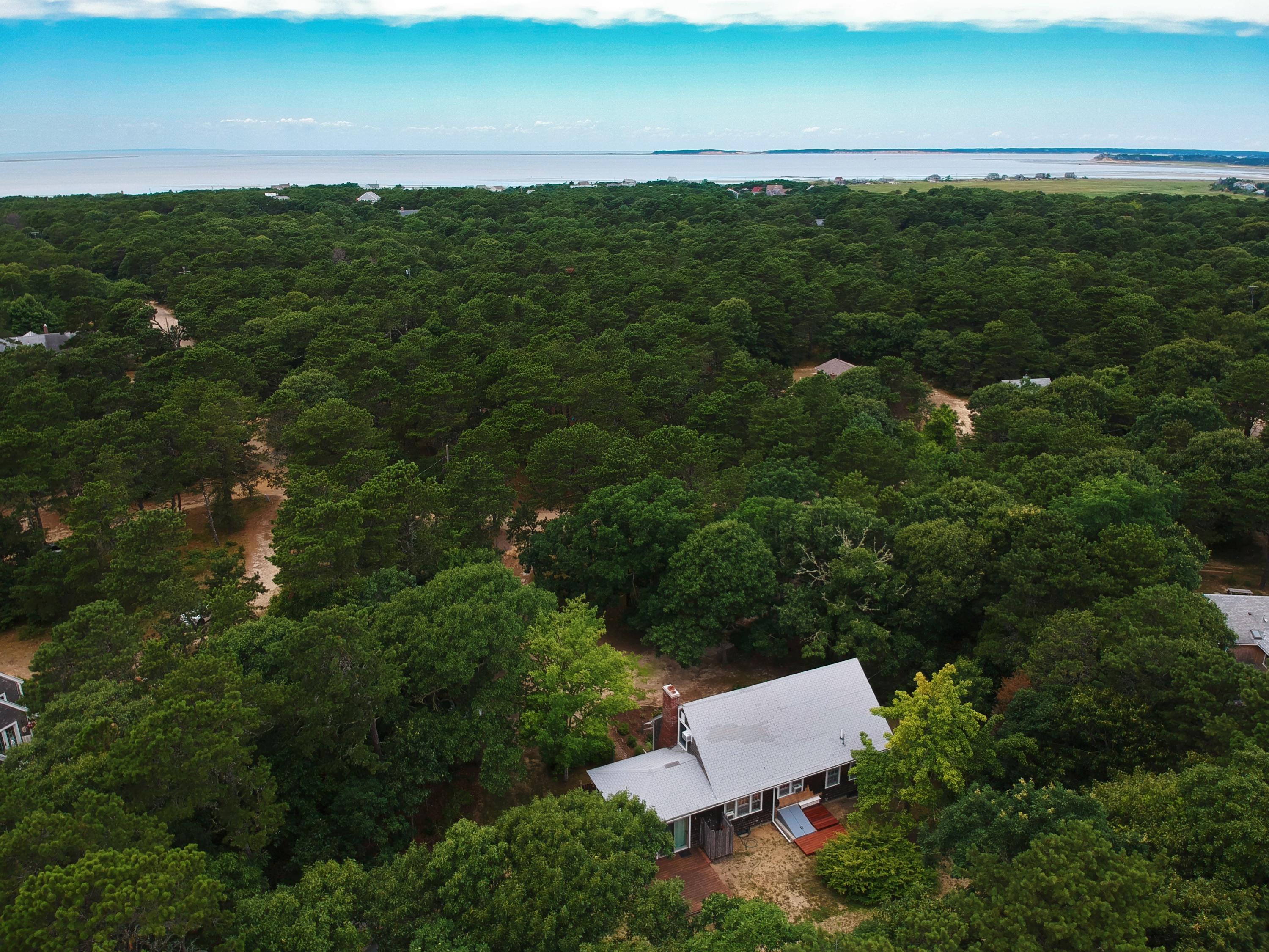 65 Wamisco Road Eastham, MA 02642 - Photo 3 of 56 DJI_1004 (2)