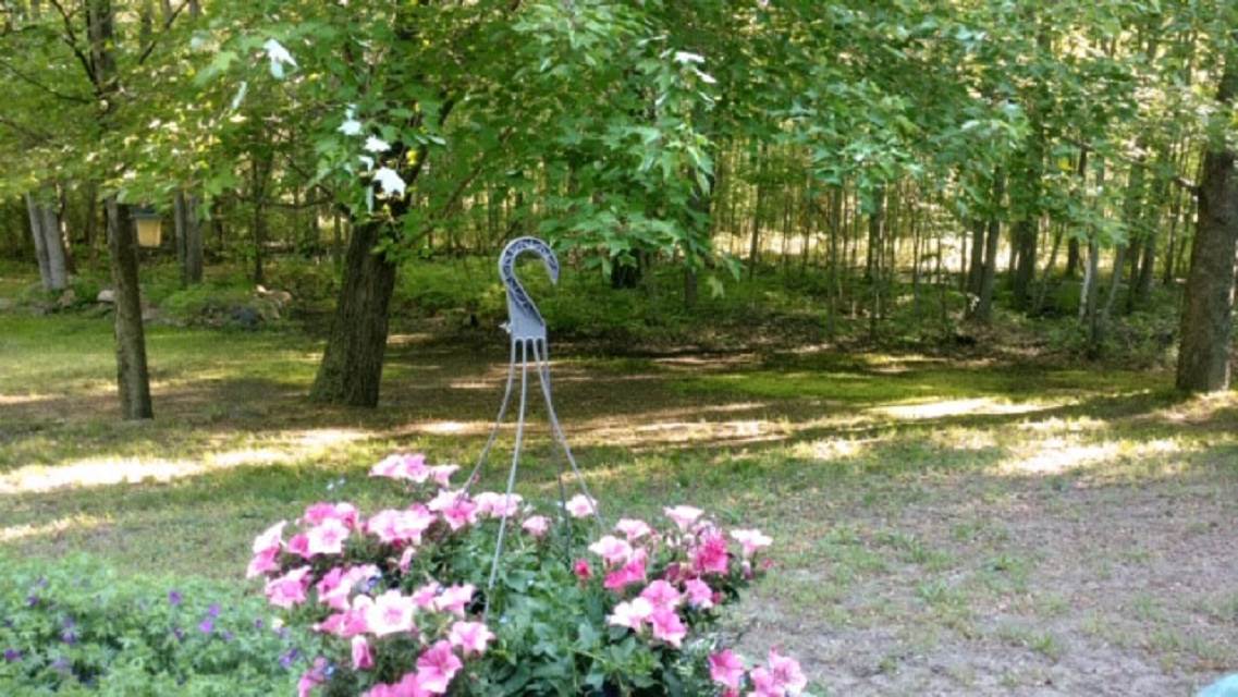 16075 Baldwin Road Chesaning, MI 48616 - Photo 2 of 42 Gallery Image 2