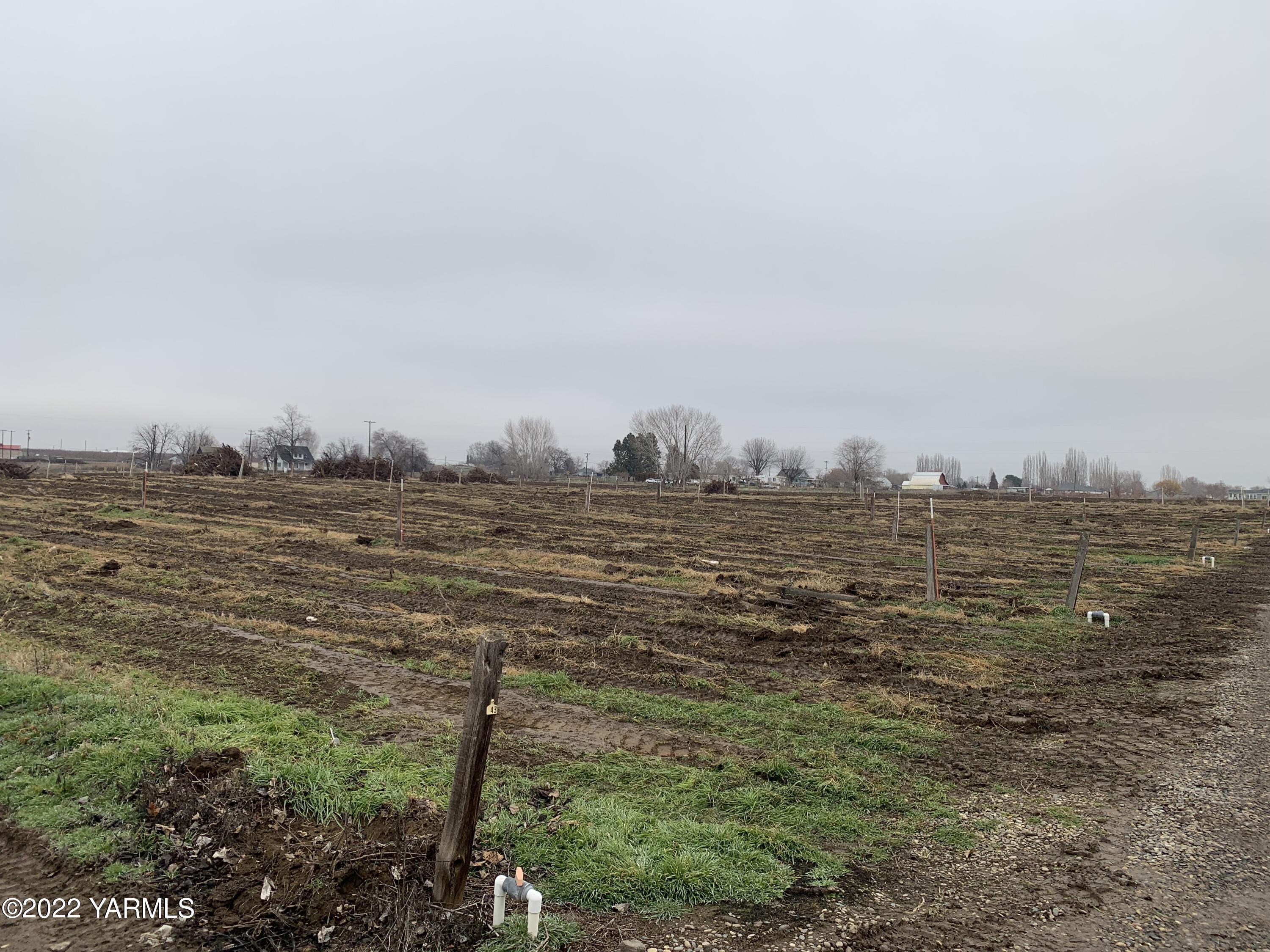 Tbd Lot 3 Tbd Road Grandview, WA 98930 - Photo 8 of 9 a view of ocean view