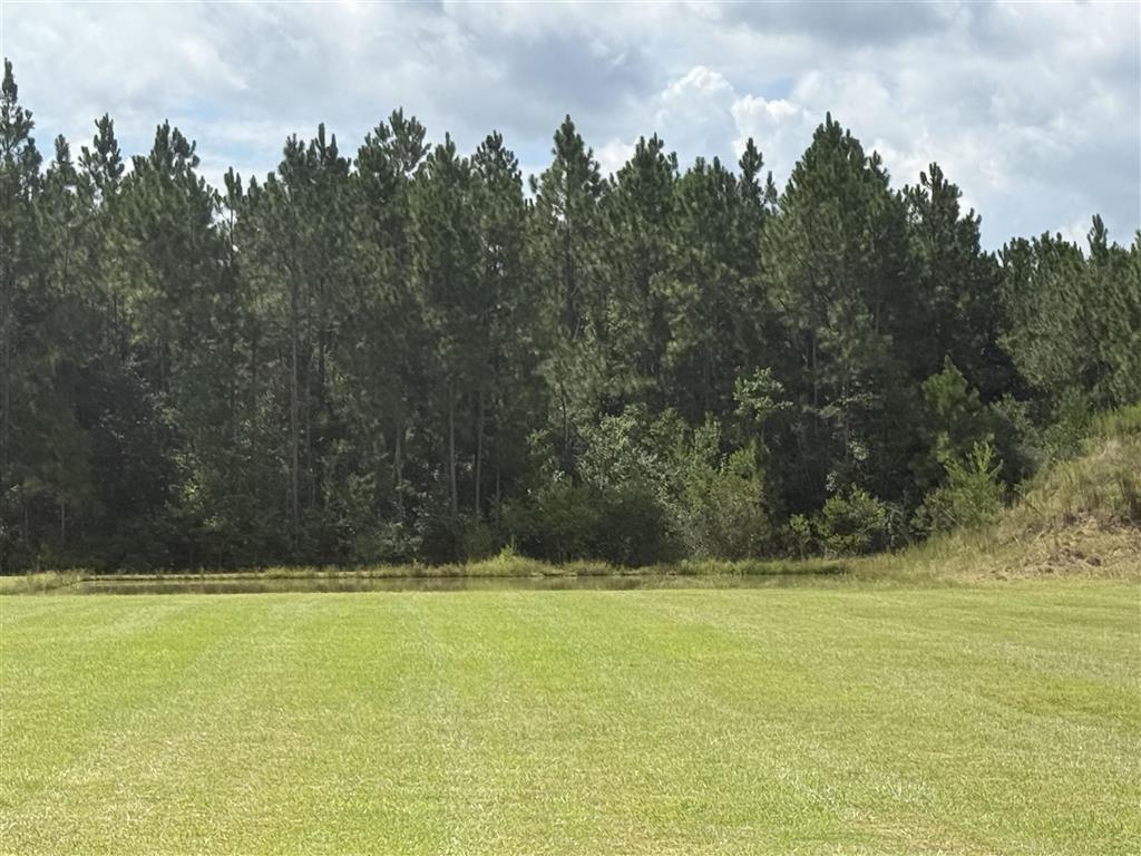 603 Rte 66 Road Dequincy, LA 70633 - Photo 24 of 32