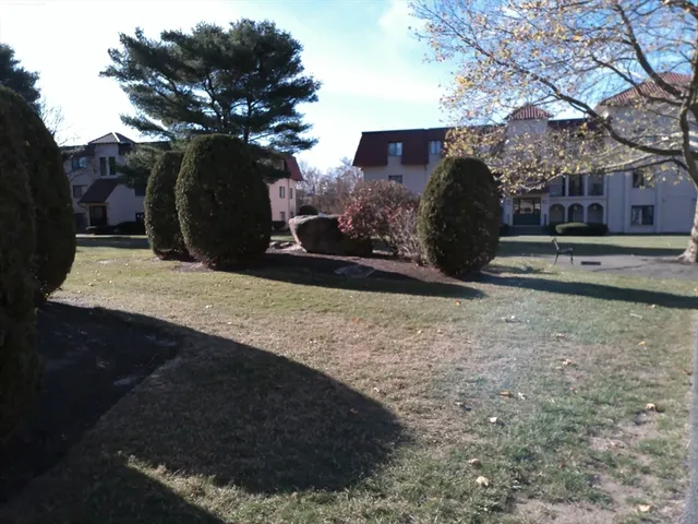 a view of outdoor space yard and patio