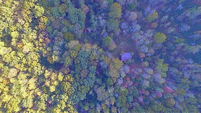 1 Big Run Road Wallingford, KY 41093 - Photo 6 of 15 Photo 6