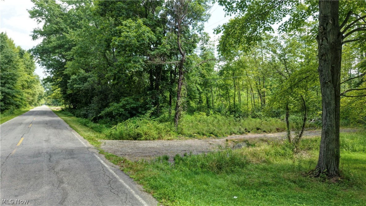 0 Bushnell Campbell Road Kinsman, OH 44428 - Photo 20 of 36 Gallery Image 20
