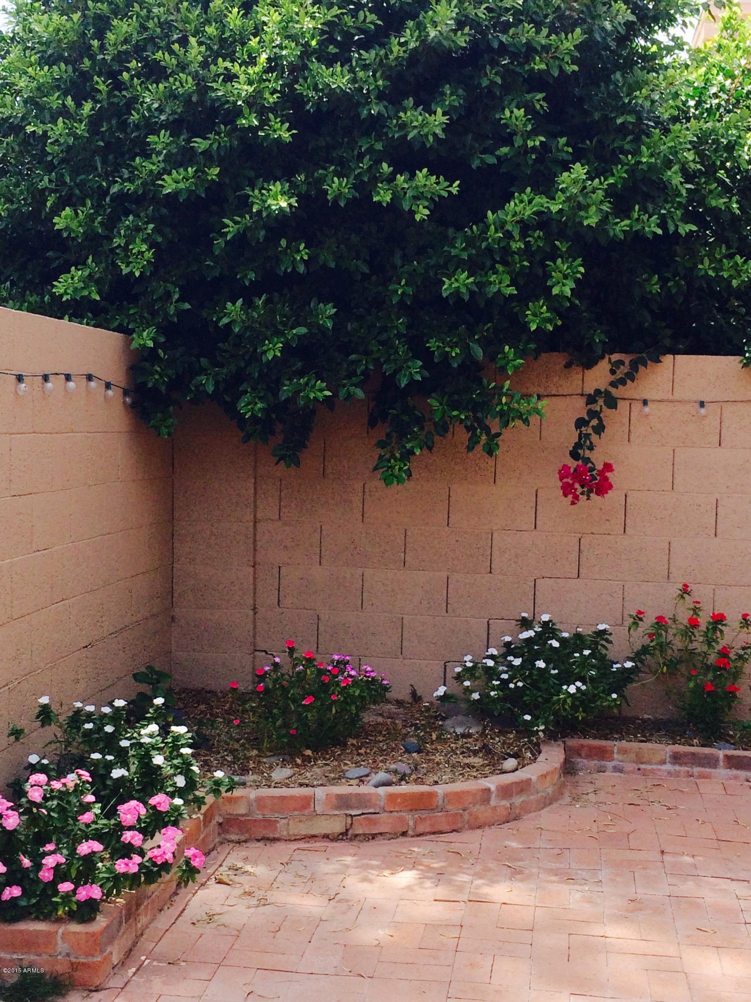 4127 East Agave Road Phoenix, AZ 85044 - Photo 17 of 21 FullSizeRender (18)