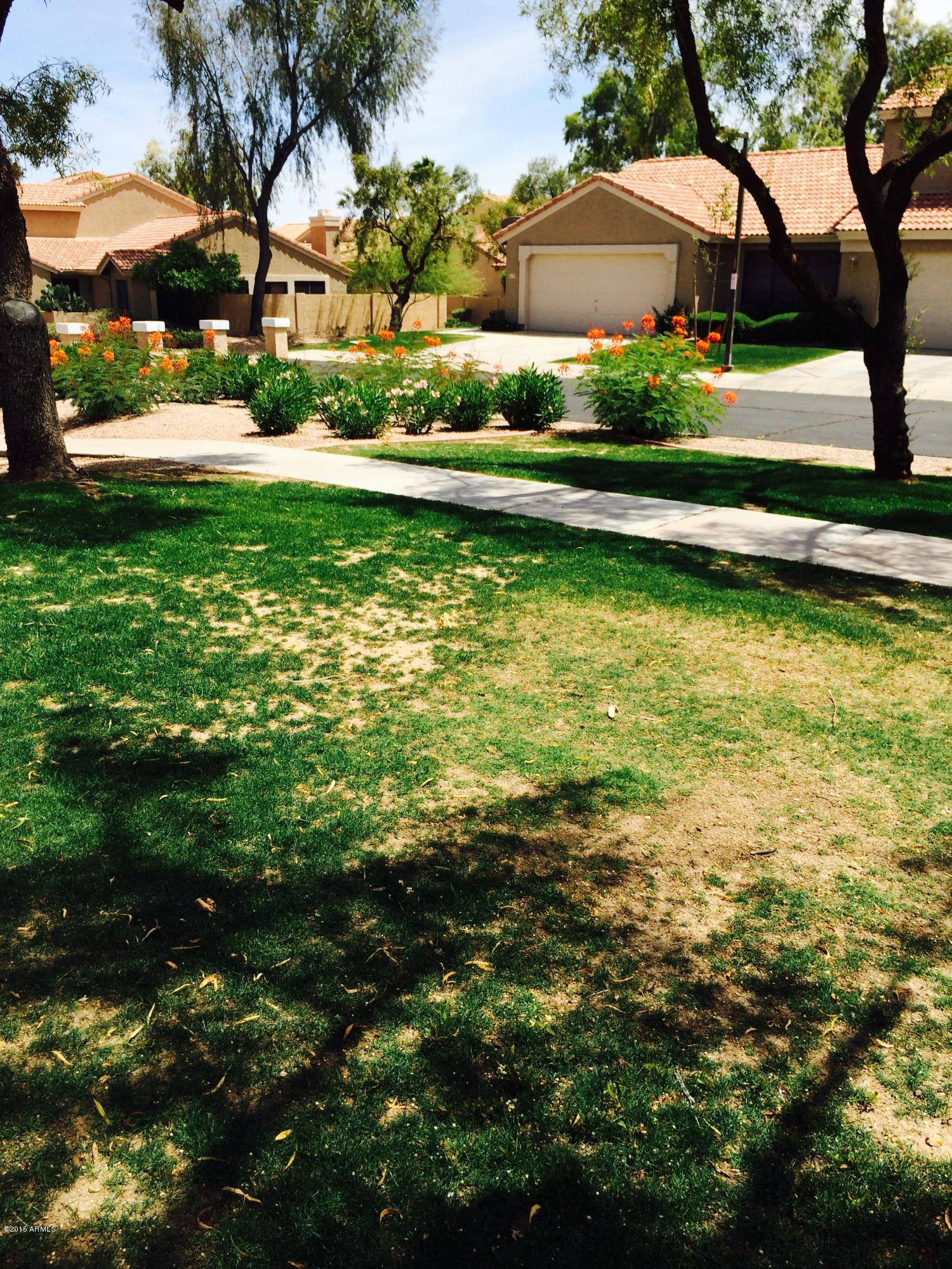 4127 East Agave Road Phoenix, AZ 85044 - Photo 20 of 21 FullSizeRender