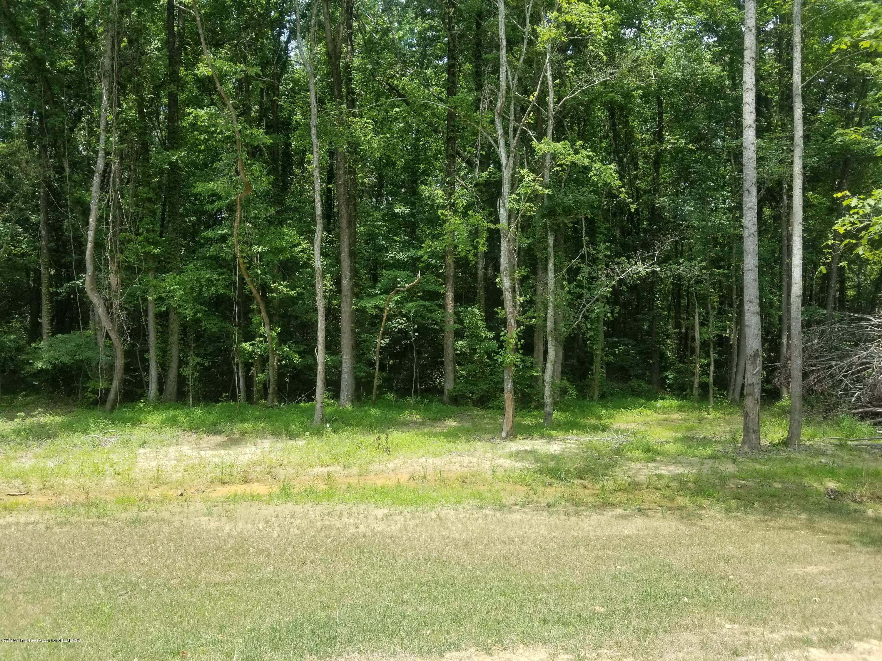 2276 Pine Tree Road Hernando, MS 38632 - Photo 20 of 38 20190619_121124