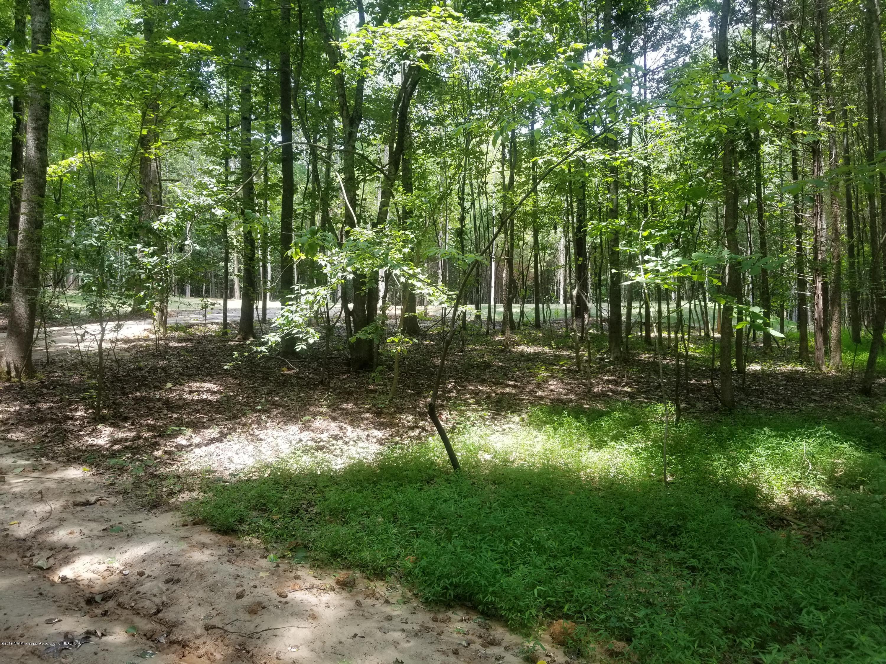 2276 Pine Tree Road Hernando, MS 38632 - Photo 27 of 38 20190619_121317