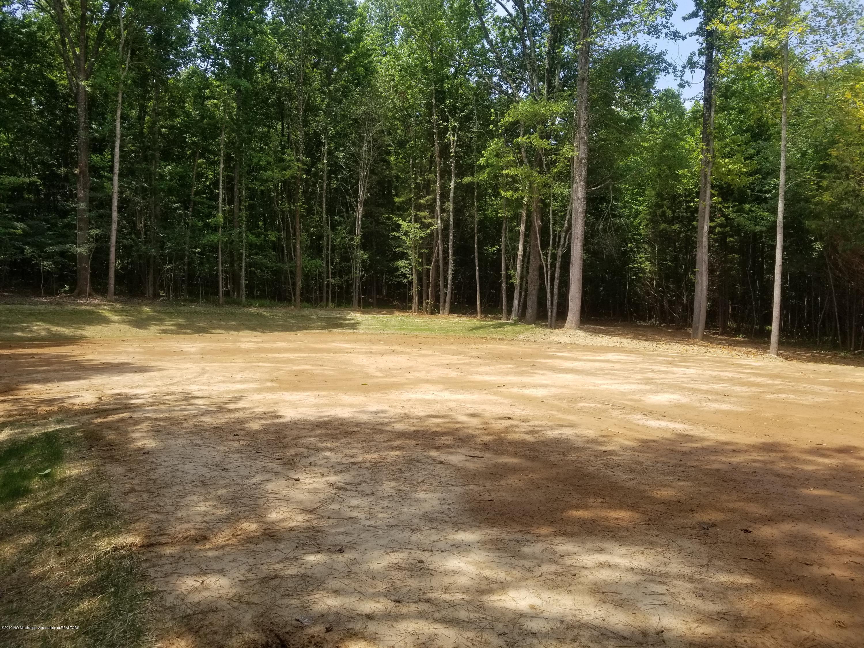 2276 Pine Tree Road Hernando, MS 38632 - Photo 31 of 38 20190619_121452