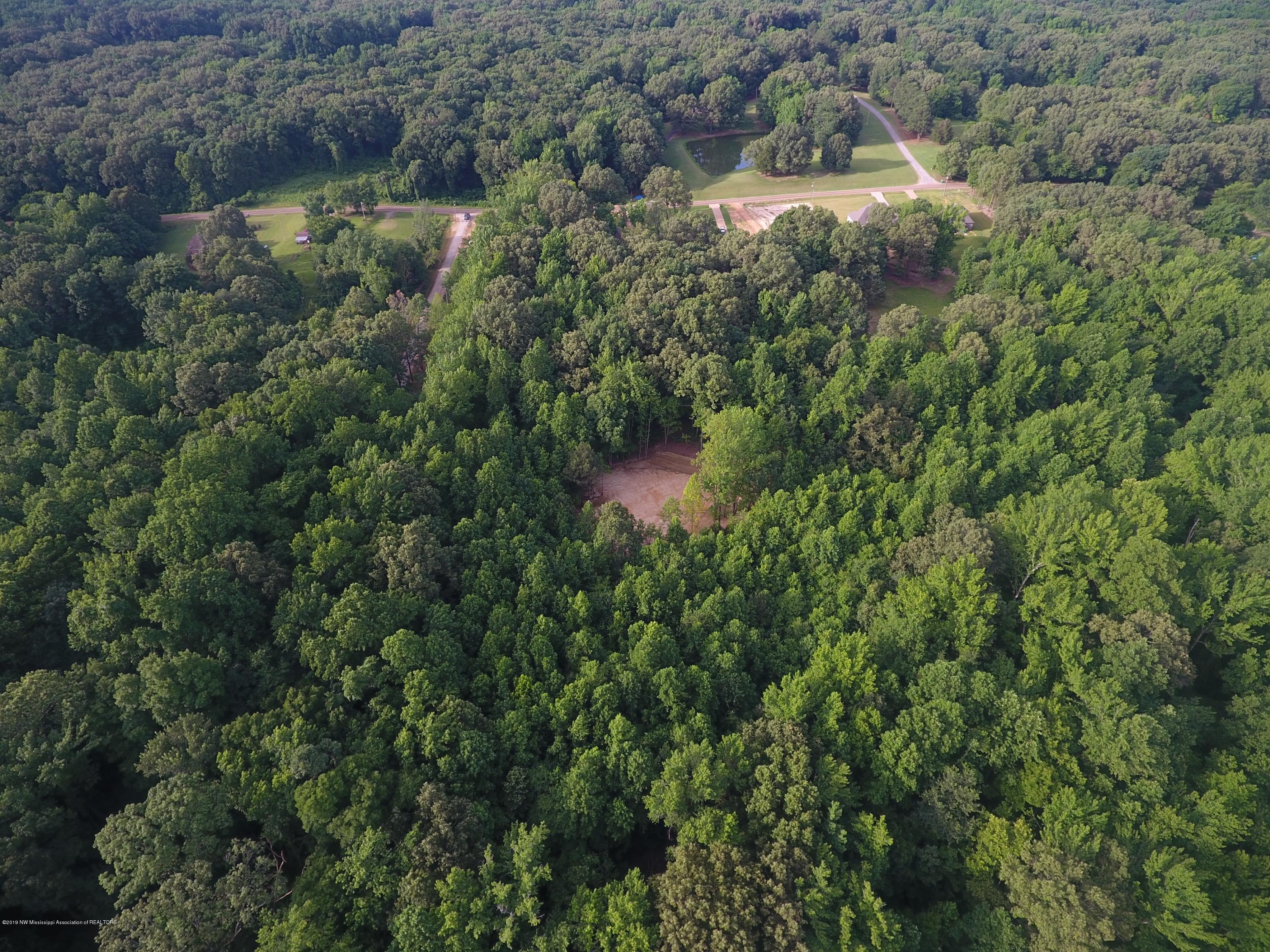 2276 Pine Tree Road Hernando, MS 38632 - Photo 8 of 38 DJI_0035