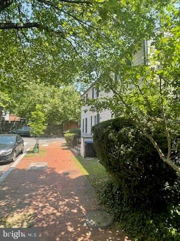 a view of a yard with plants and trees