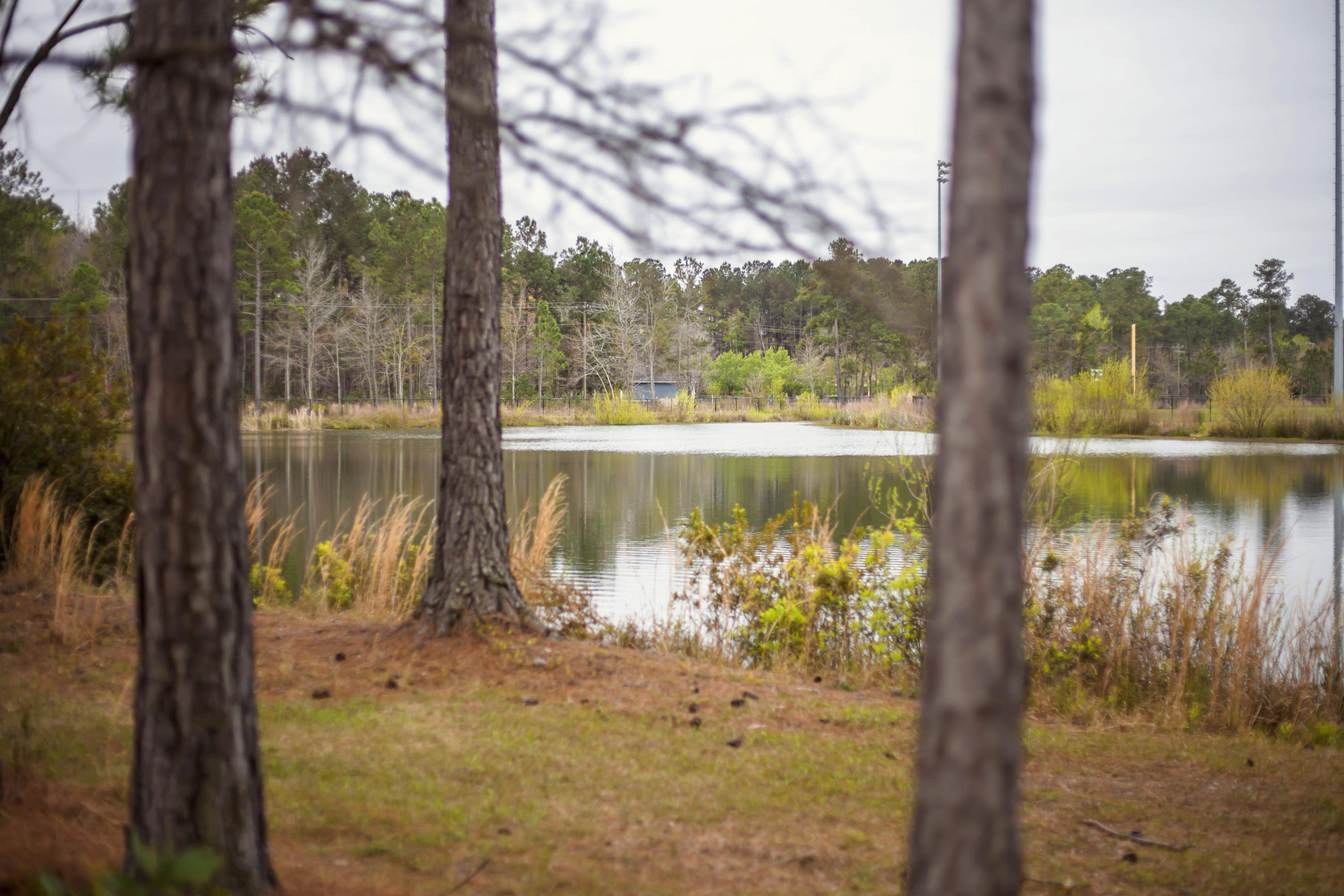 174 Brookhaven Road Summerville, SC 29486 - Photo 4 of 46 Pond View