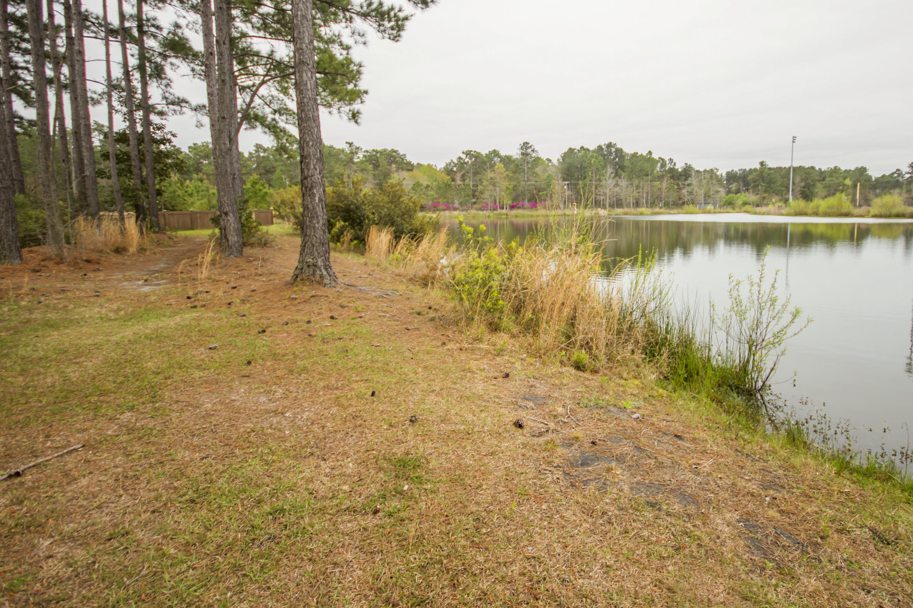 174 Brookhaven Road Summerville, SC 29486 - Photo 5 of 46 Pond View