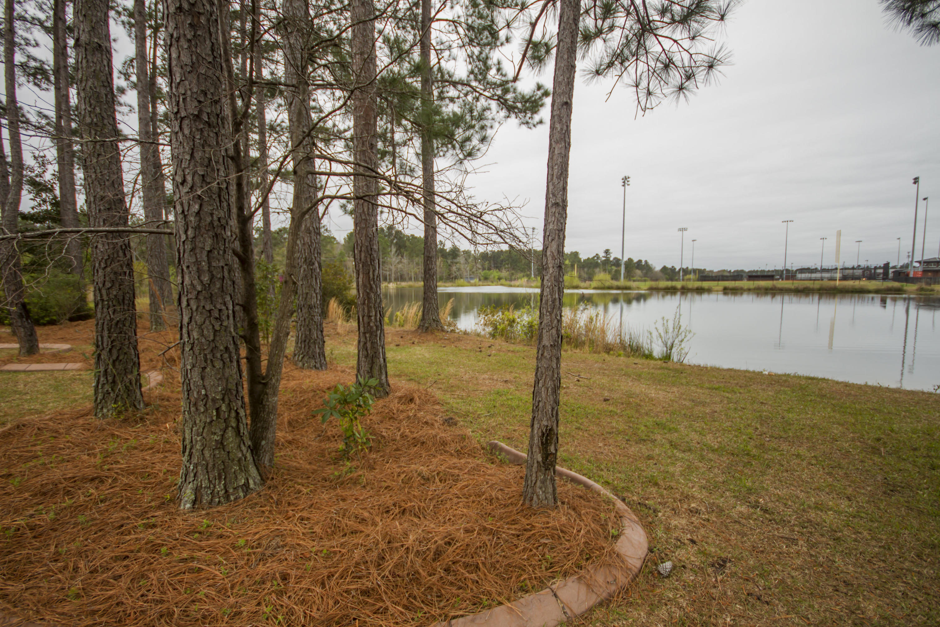 174 Brookhaven Road Summerville, SC 29486 - Photo 42 of 46 View of Pond