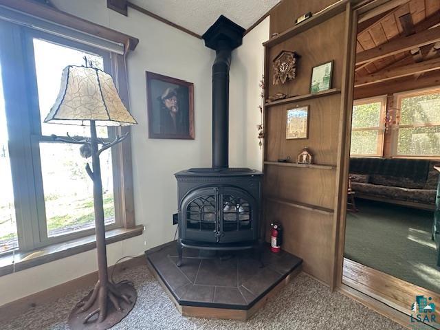 2734 Bear Island River Road Ely, MN 55731 - Photo 14 of 37 Detailed view of a wood stove, a textured ceiling, crown molding, and carpet floors