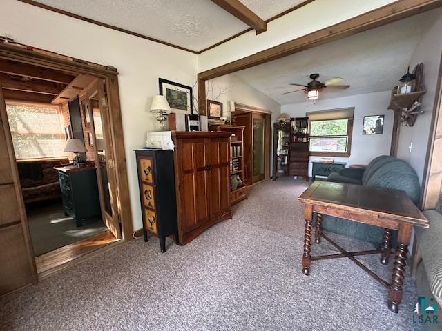 2734 Bear Island River Road Ely, MN 55731 - Photo 18 of 37 Living area with carpet flooring, a textured ceiling, and a ceiling fan