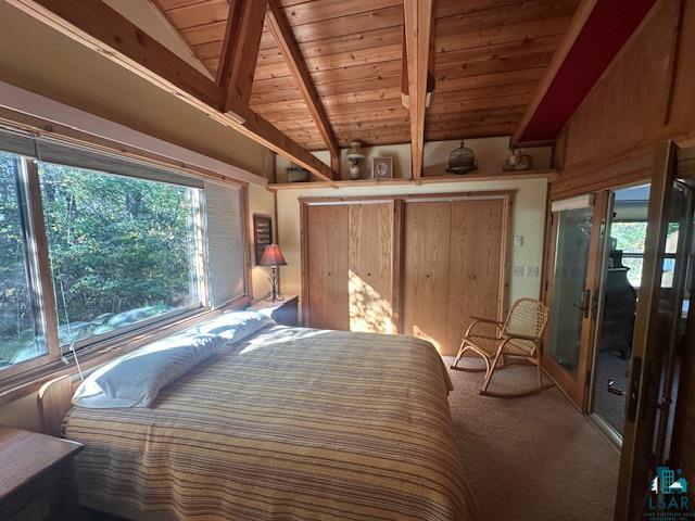 2734 Bear Island River Road Ely, MN 55731 - Photo 28 of 37 Carpeted bedroom with multiple windows, a closet, and wood ceiling
