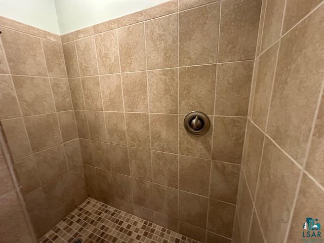 2734 Bear Island River Road Ely, MN 55731 - Photo 31 of 37 Bathroom with a tile shower