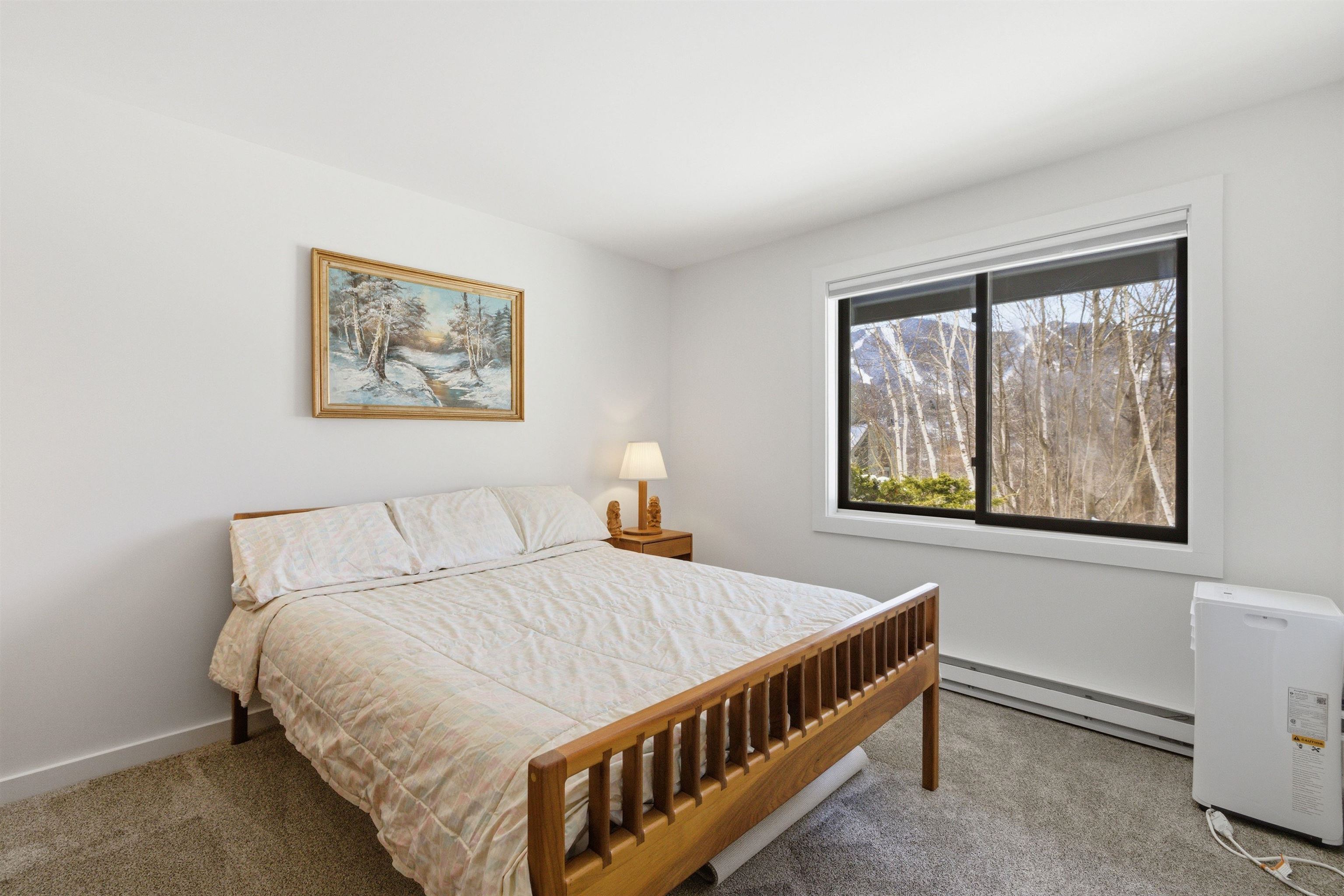 25 Ravine Lane, Unit 3 Lincoln, NH 03251 - Photo 12 of 22