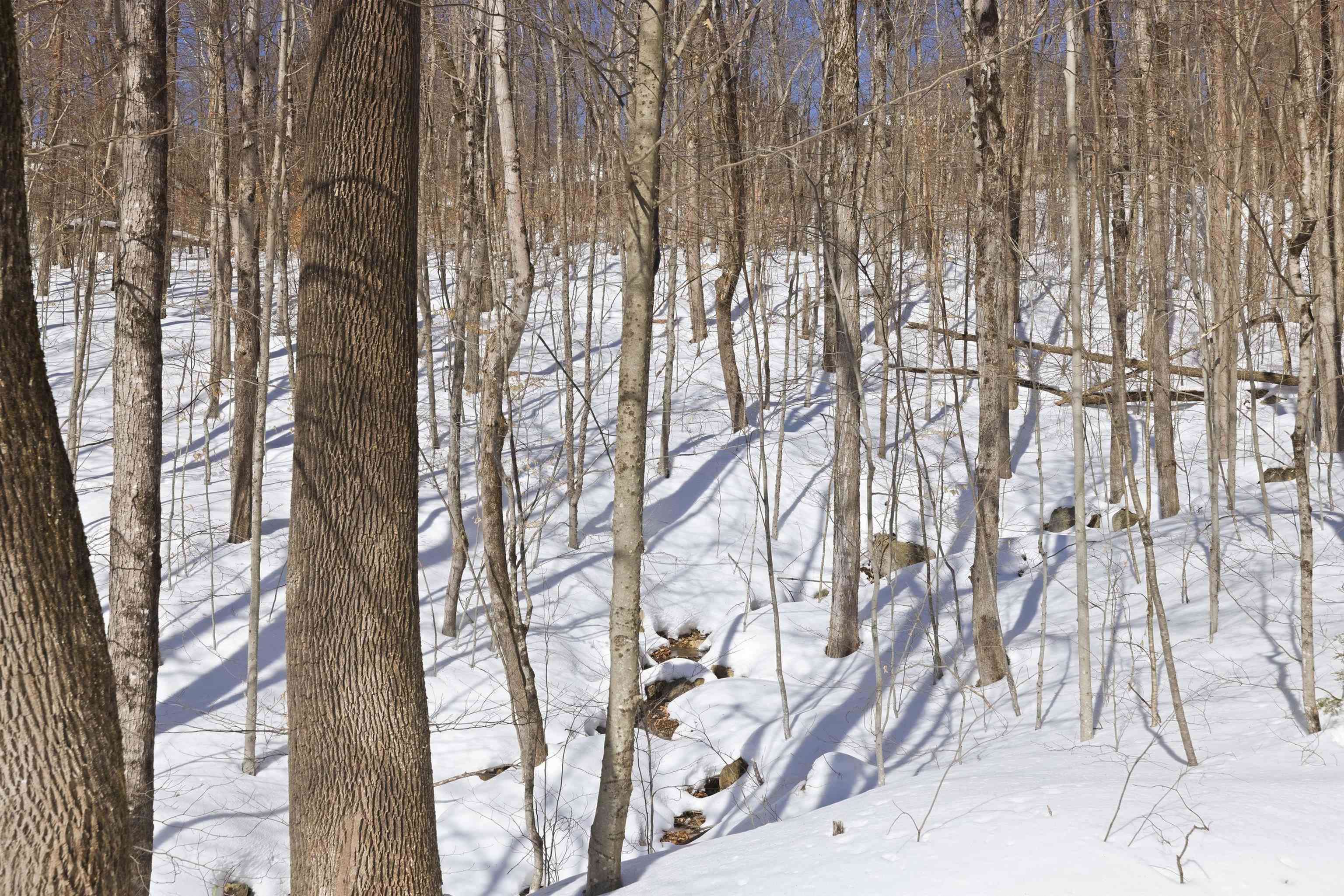 25 Ravine Lane, Unit 3 Lincoln, NH 03251 - Photo 18 of 22