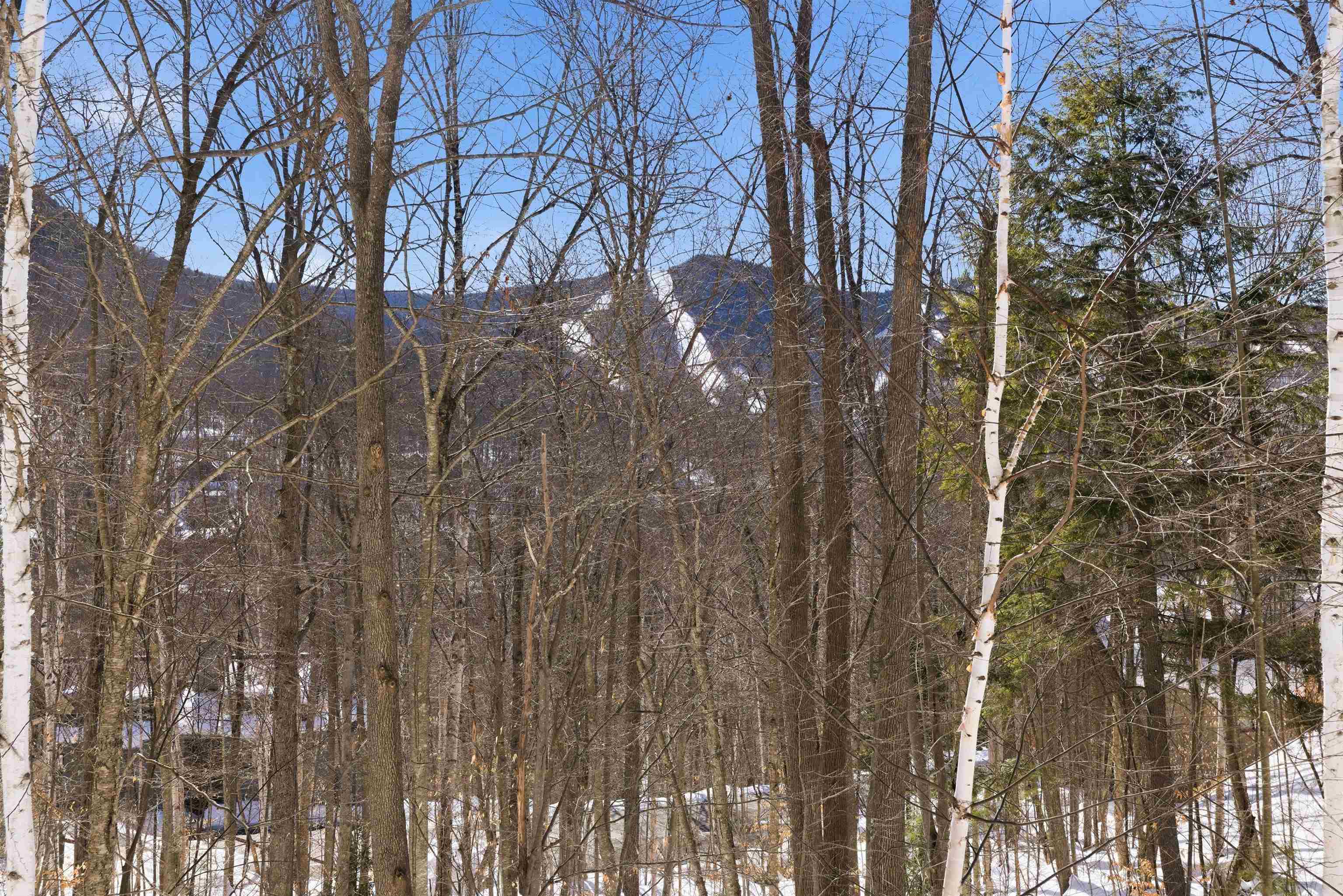 25 Ravine Lane, Unit 3 Lincoln, NH 03251 - Photo 19 of 22