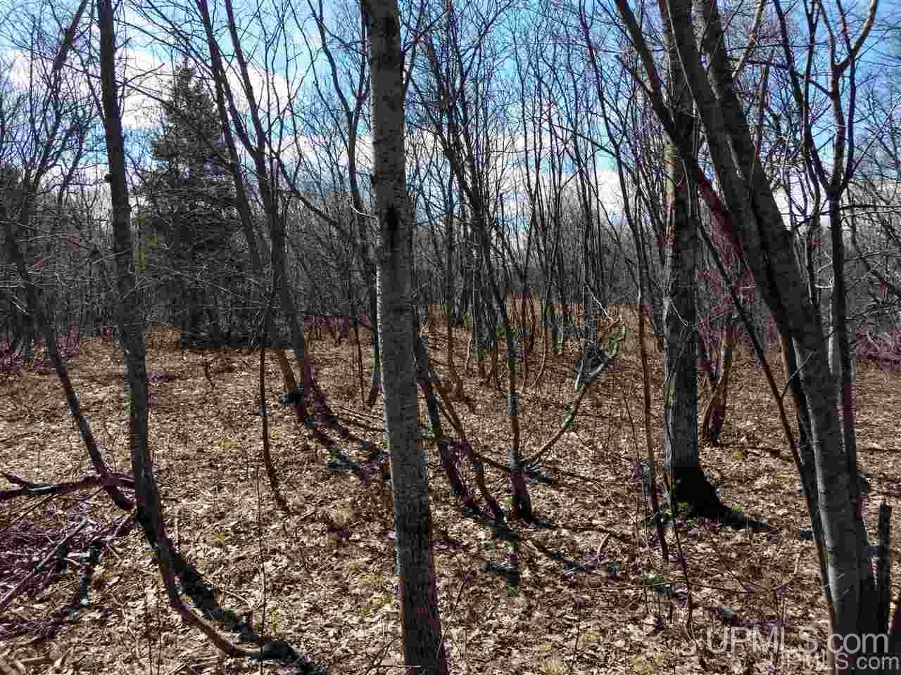 Tbd Old County Road Calumet, MI 49913 - Photo 1 of 21 Gallery Image 1