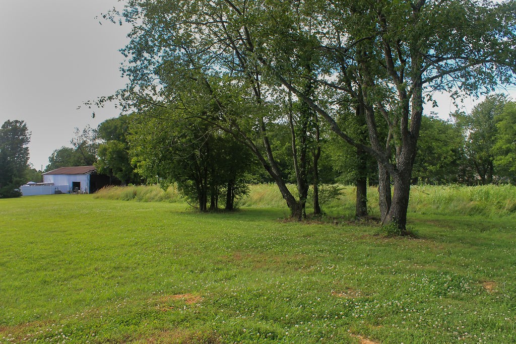 288 Clubbs Road Portland, TN 37148 - Photo 6 of 48 a huge green field with lots of trees
