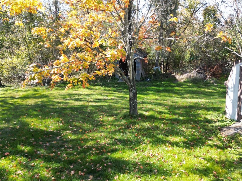 60 Carl Avenue, Unit 2 Eighty Four, PA 15330 - Photo 4 of 15 a view of a field with a tree