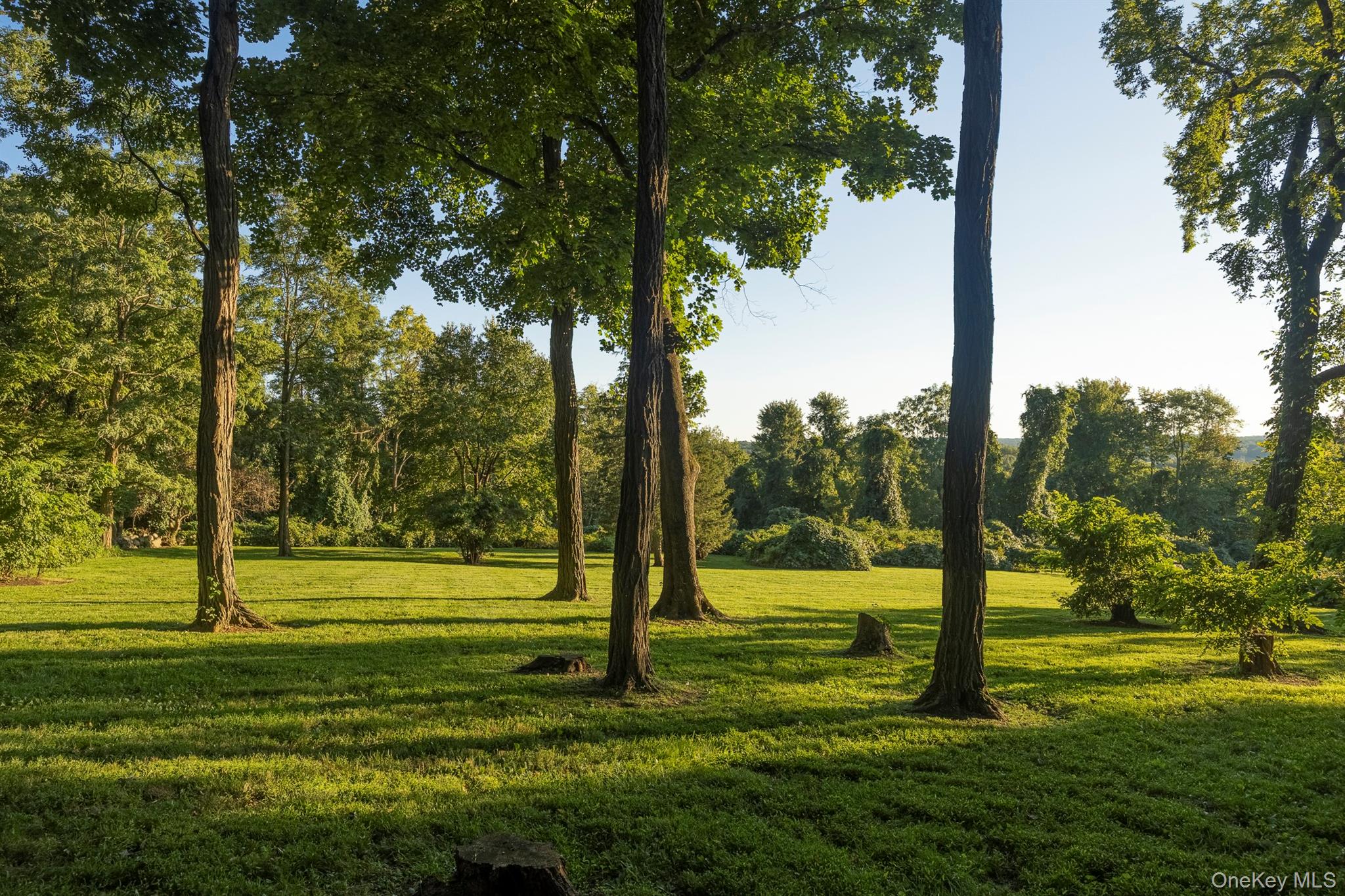 299 Starr Ridge Road Brewster, NY 10509 - Photo 39 of 50 Gorgeous Lawns down to the Cottage