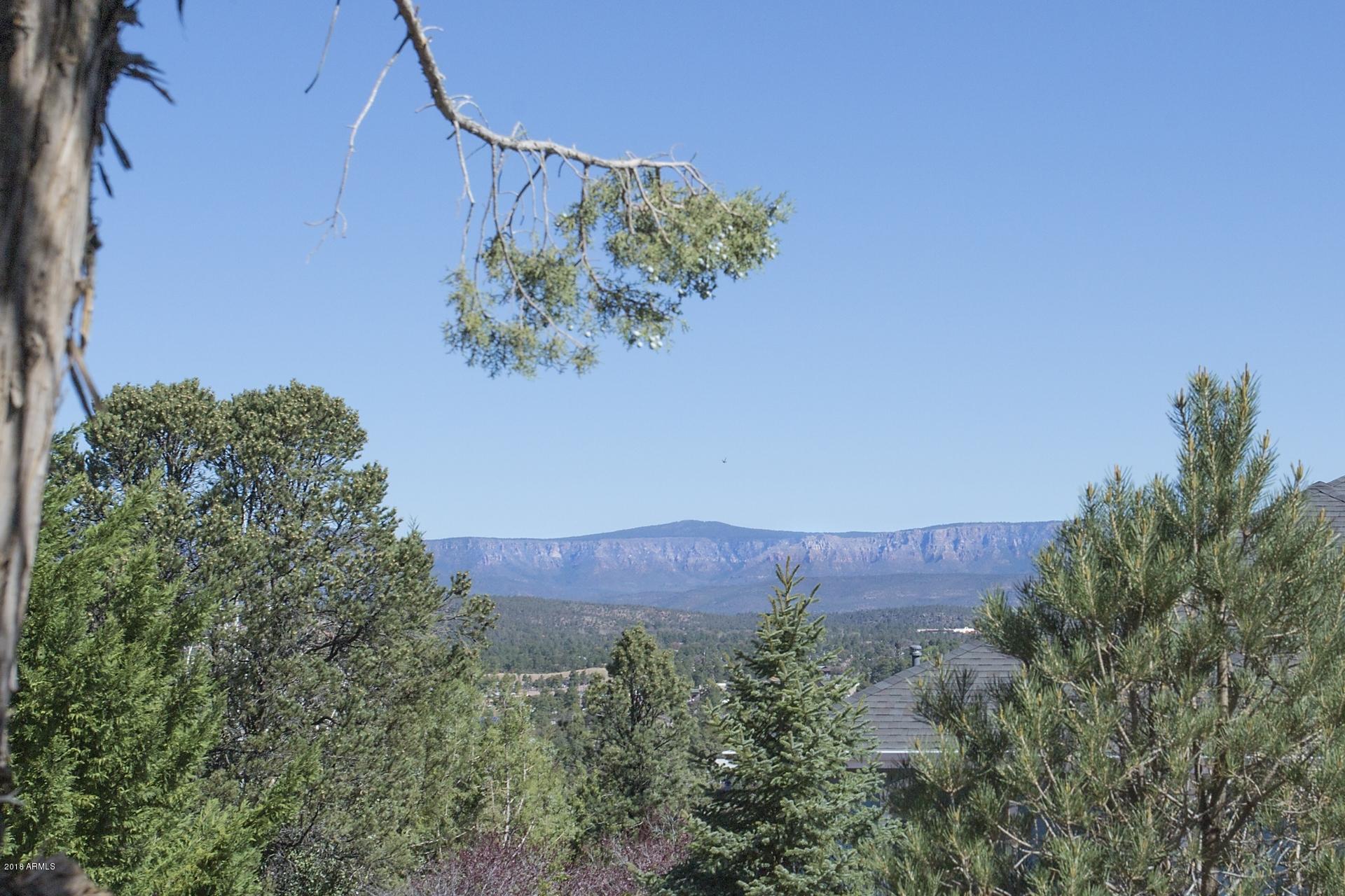 607 East Elk Ridge Drive Payson, AZ 85541 - Photo 21 of 42 IMG_21