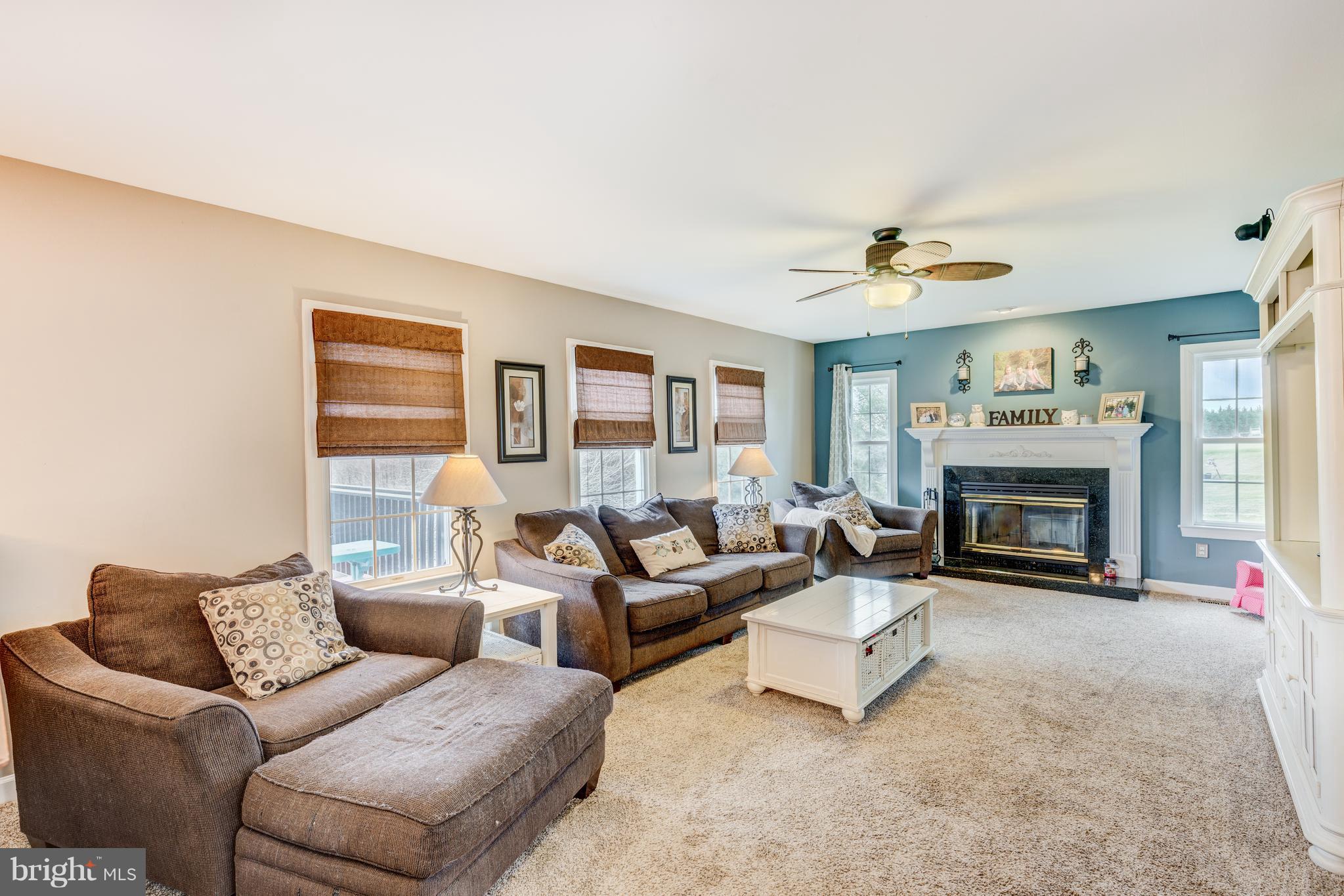 6113 Yorktown Road Mount Airy, MD 21771 - Photo 22 of 59 Wood burning fireplace in family room