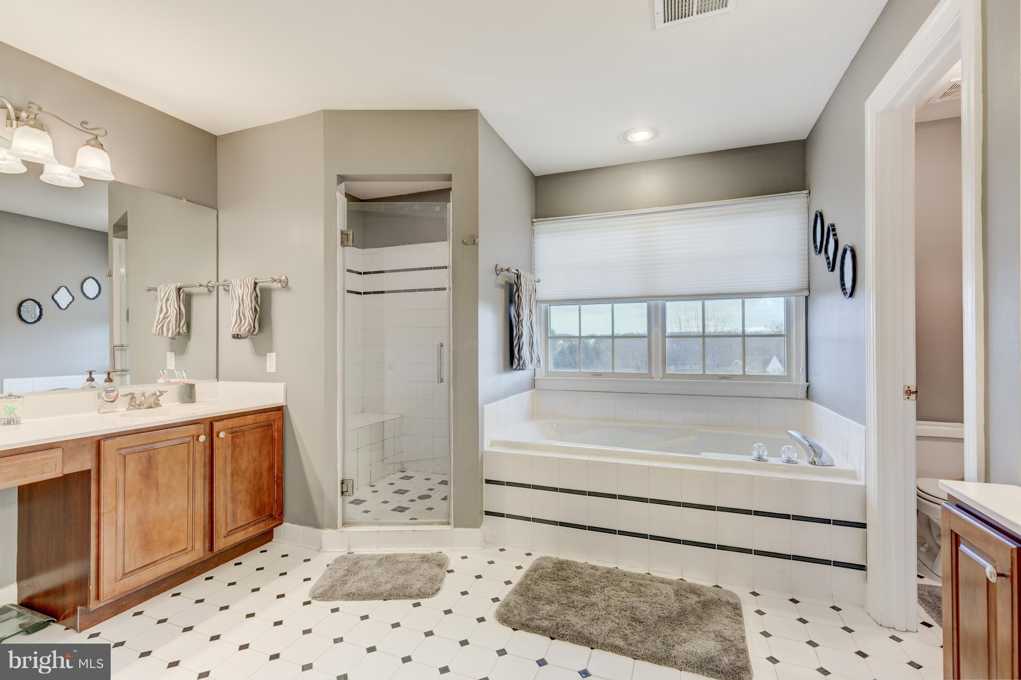 6113 Yorktown Road Mount Airy, MD 21771 - Photo 33 of 59 Master bath with soaking tub