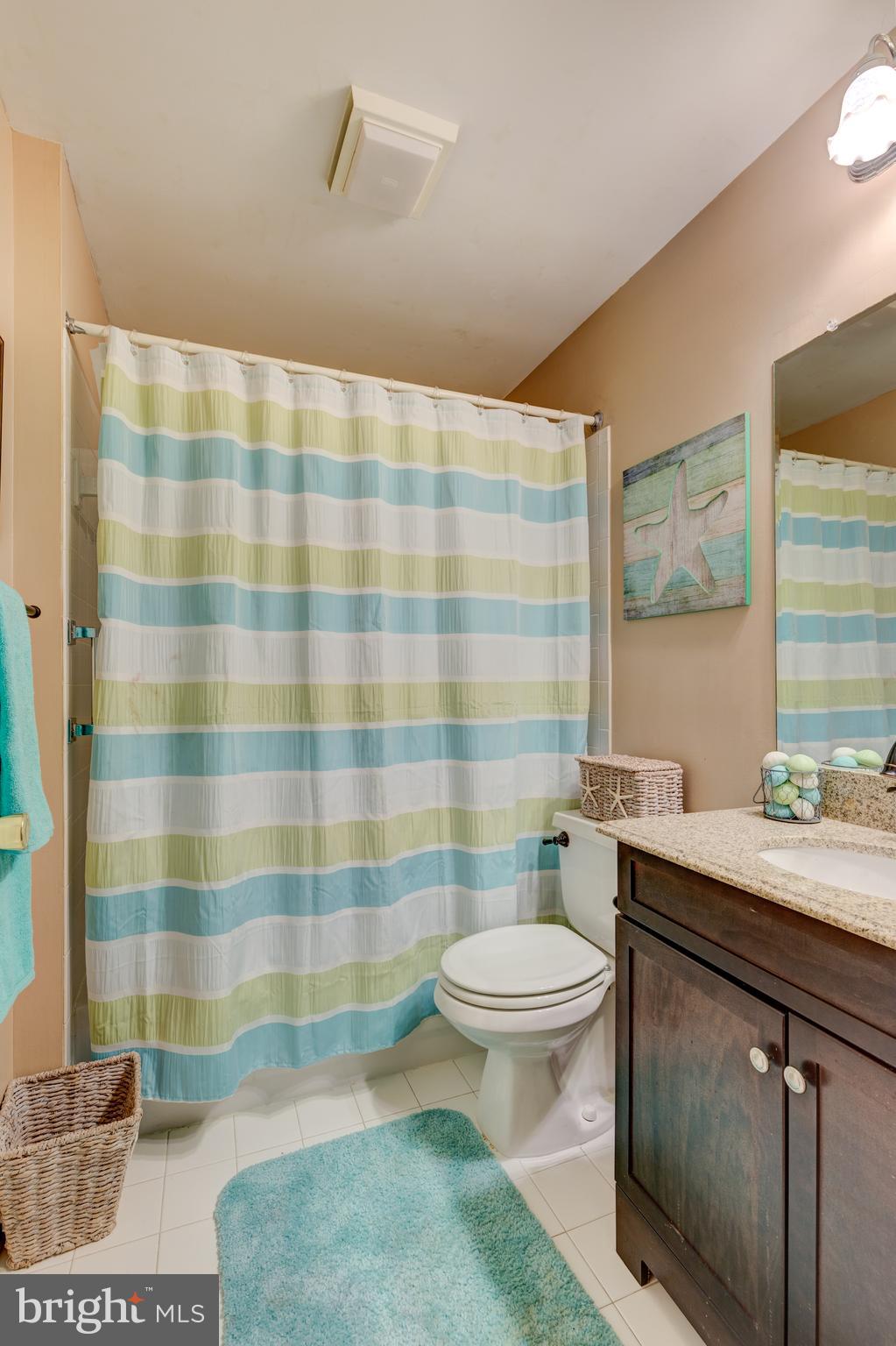 6113 Yorktown Road Mount Airy, MD 21771 - Photo 44 of 59 Full bath in basement