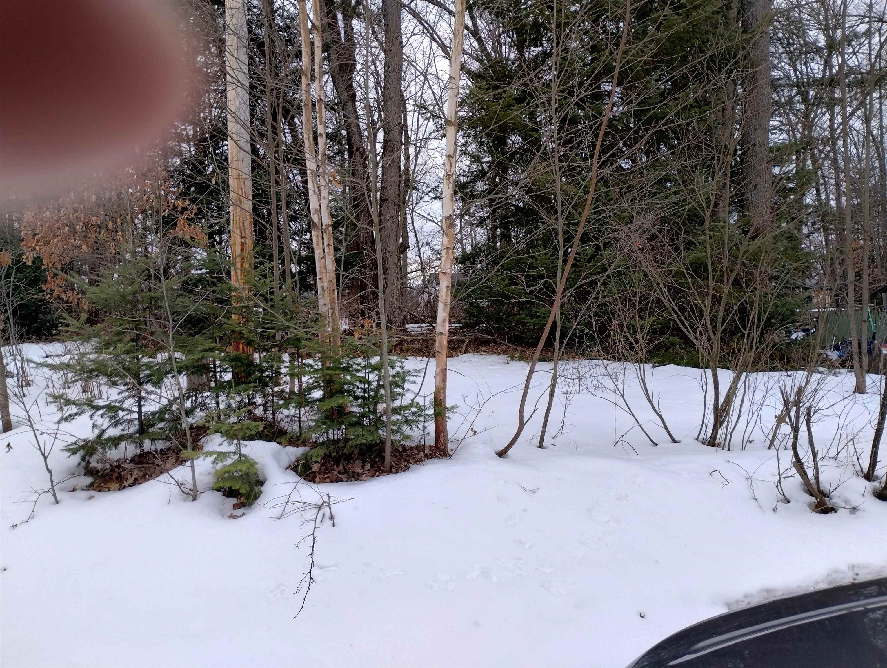 991 Pocahontas Road Harrison, MI 48625 - Photo 1 of 1