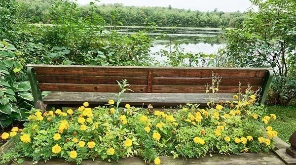 a view of a lake with a house in the background