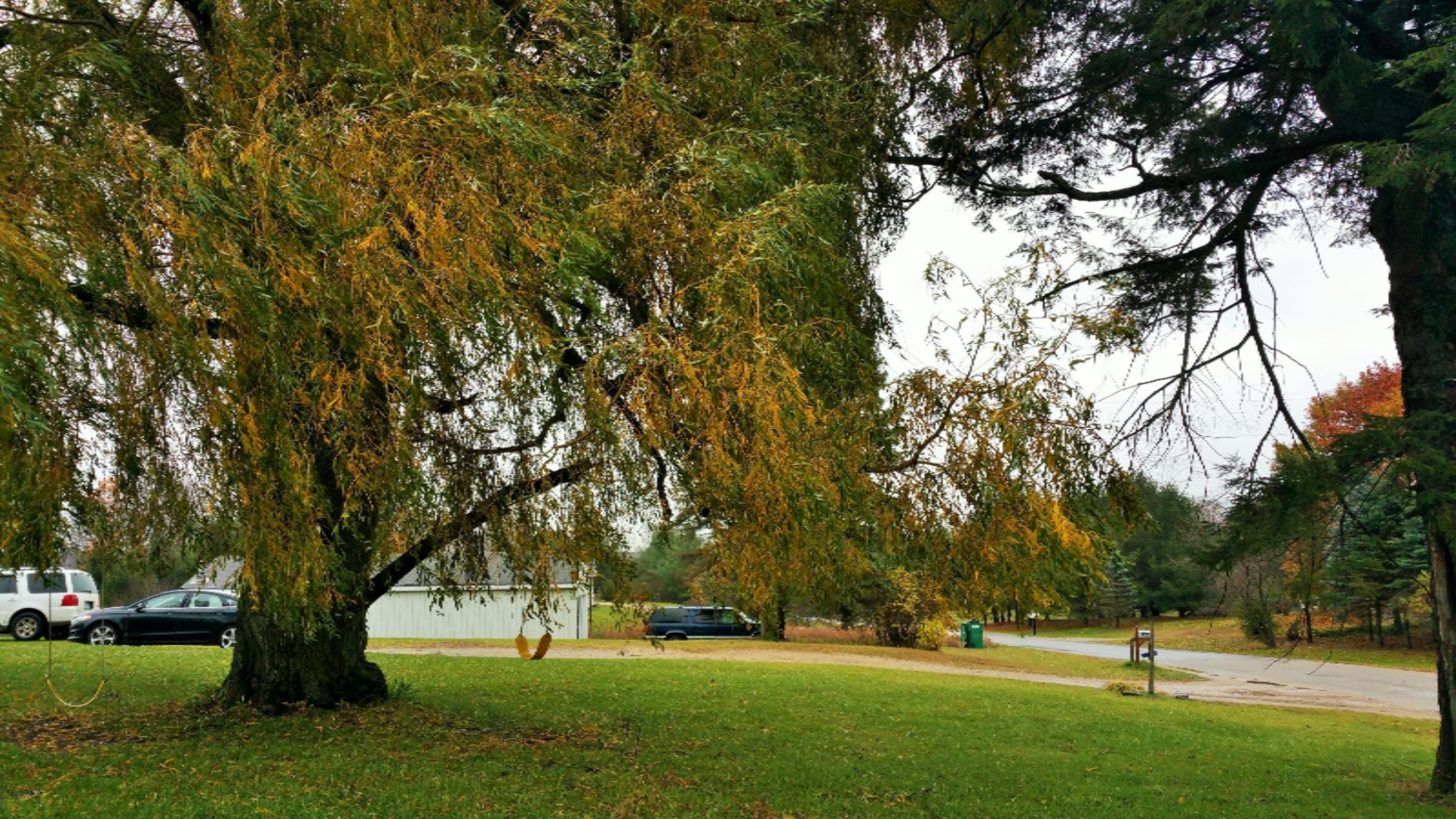 20151029_121010 (1)