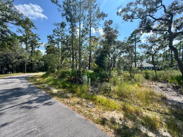 a view of a yard with a tree