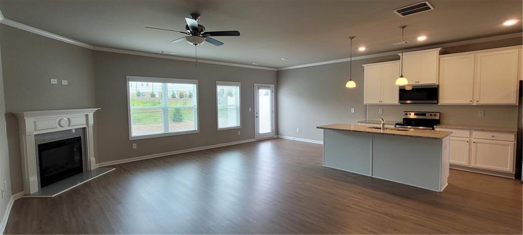 5141 Fox Den Road Oakwood, GA 30566 - Photo 7 of 29 a kitchen with stainless steel appliances a stove top oven a sink and a fireplace