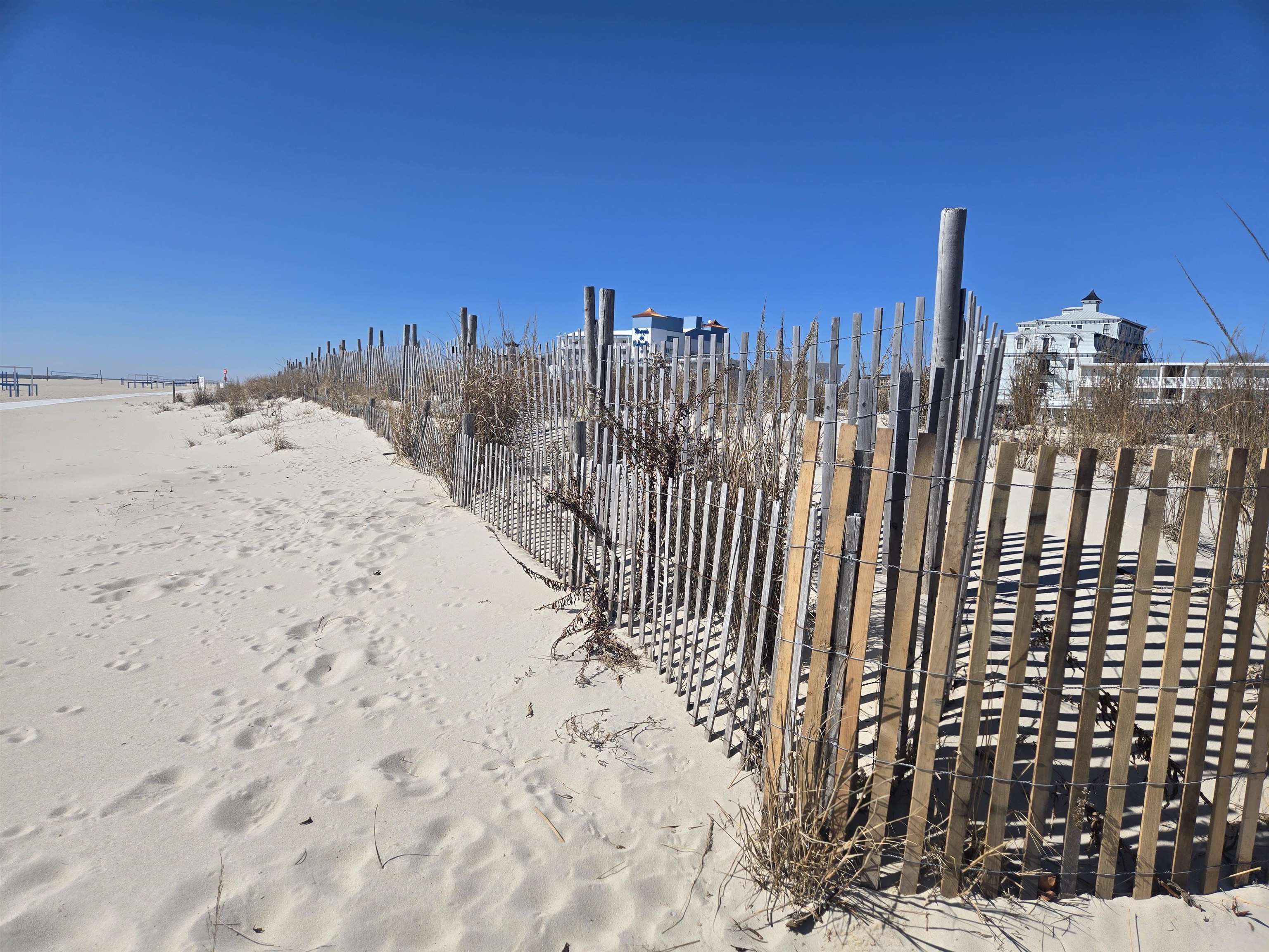 610 Beach Cape May, NJ 08204 - Photo 11 of 20