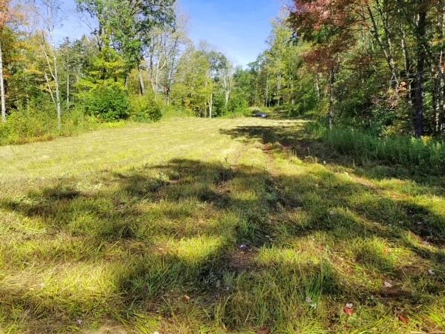 Lower Dover Road South Newfane, VT 05351 - Photo 2 of 7