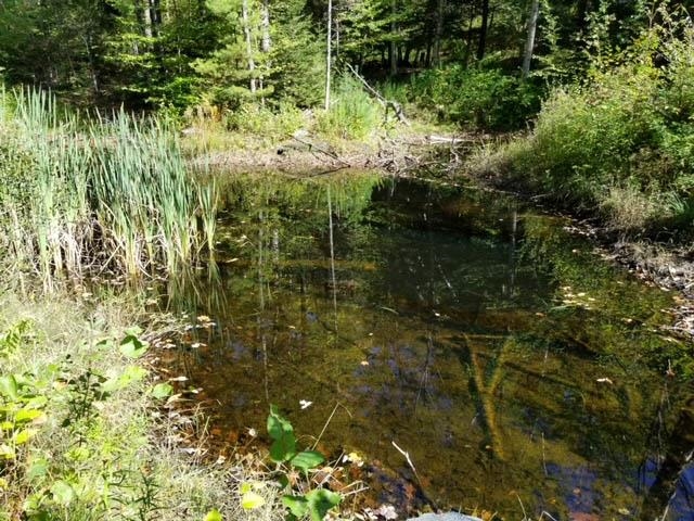 Lower Dover Road South Newfane, VT 05351 - Photo 4 of 7