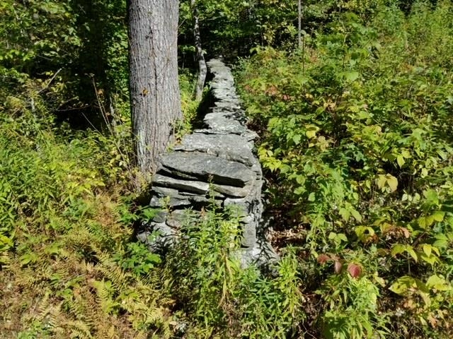 Lower Dover Road South Newfane, VT 05351 - Photo 5 of 7