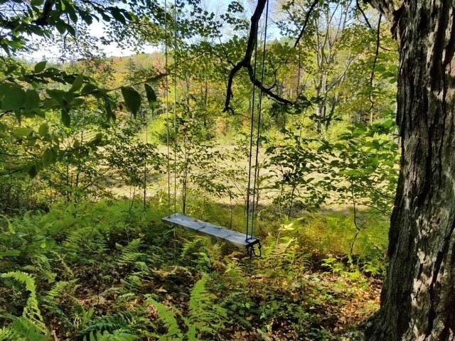 Lower Dover Road South Newfane, VT 05351 - Photo 6 of 7