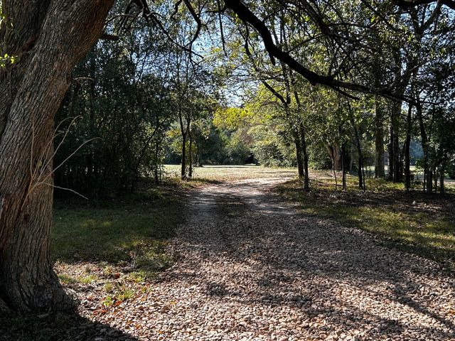 a view of a bench in the middle of a yard