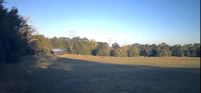 a view of dirt field with trees in the background