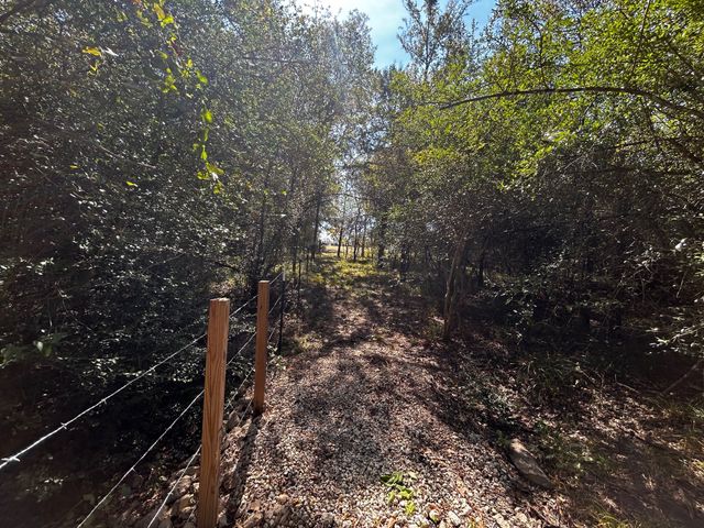 a backyard of a house with lots of green space
