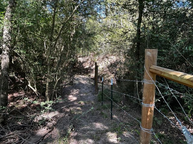 a view of a lake with large trees