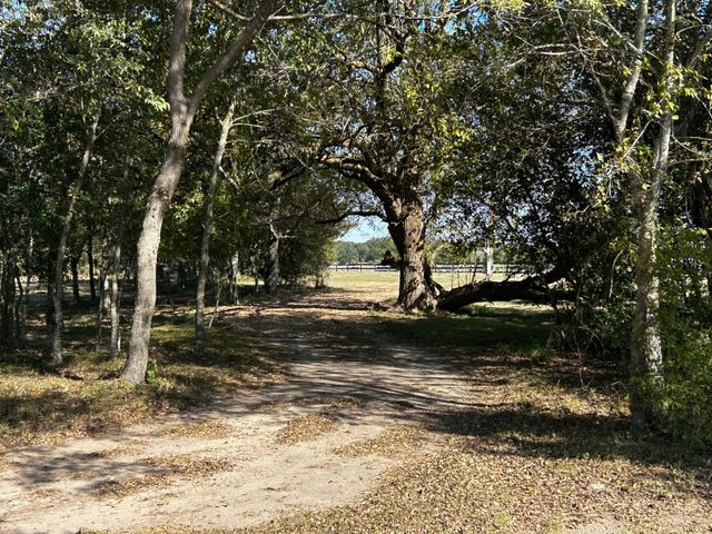 a view of a yard with green space