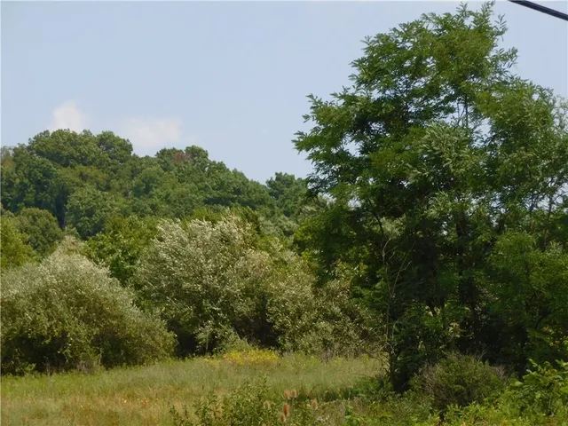 a view of a forest with a houses