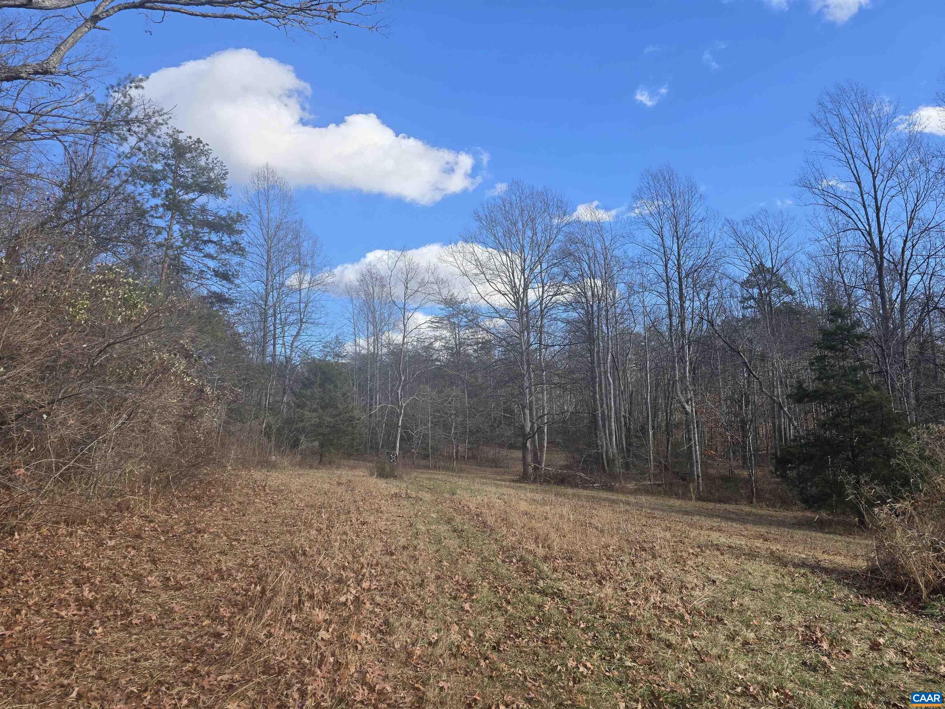 Lot C Sycamore Lane Ruckersville, VA 22968 - Photo 1 of 3